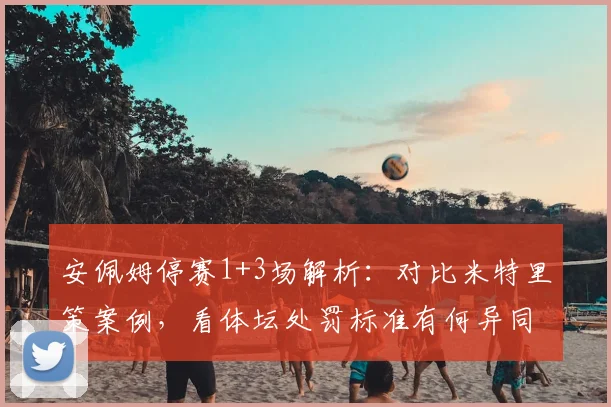安佩姆停赛1+3场解析：对比米特里策案例，看体坛处罚标准有何异同